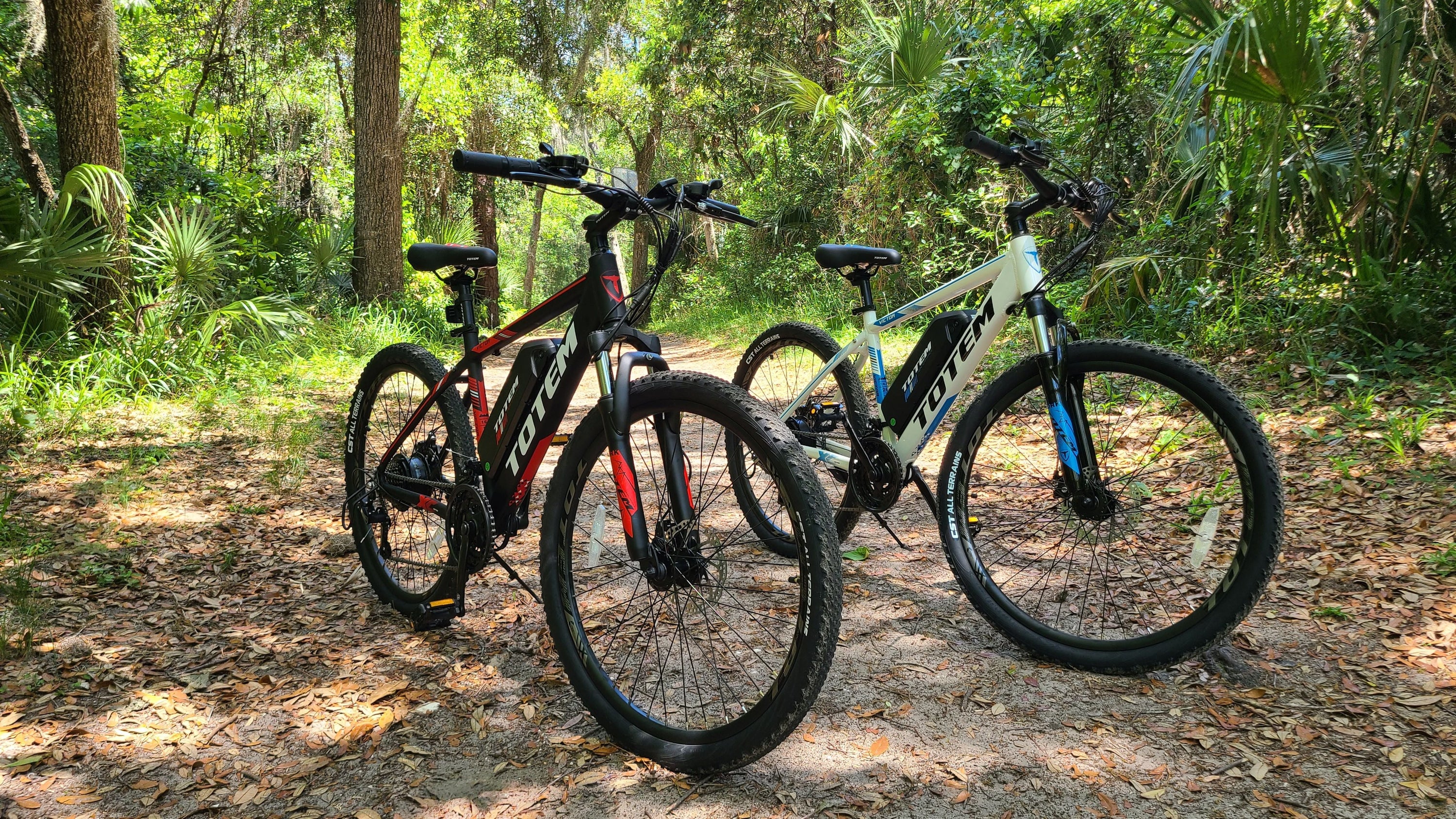The Best Way to Buy an Electric Bike: Online vs. In-Store (2025 Guide)