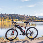 QNUT BIKE